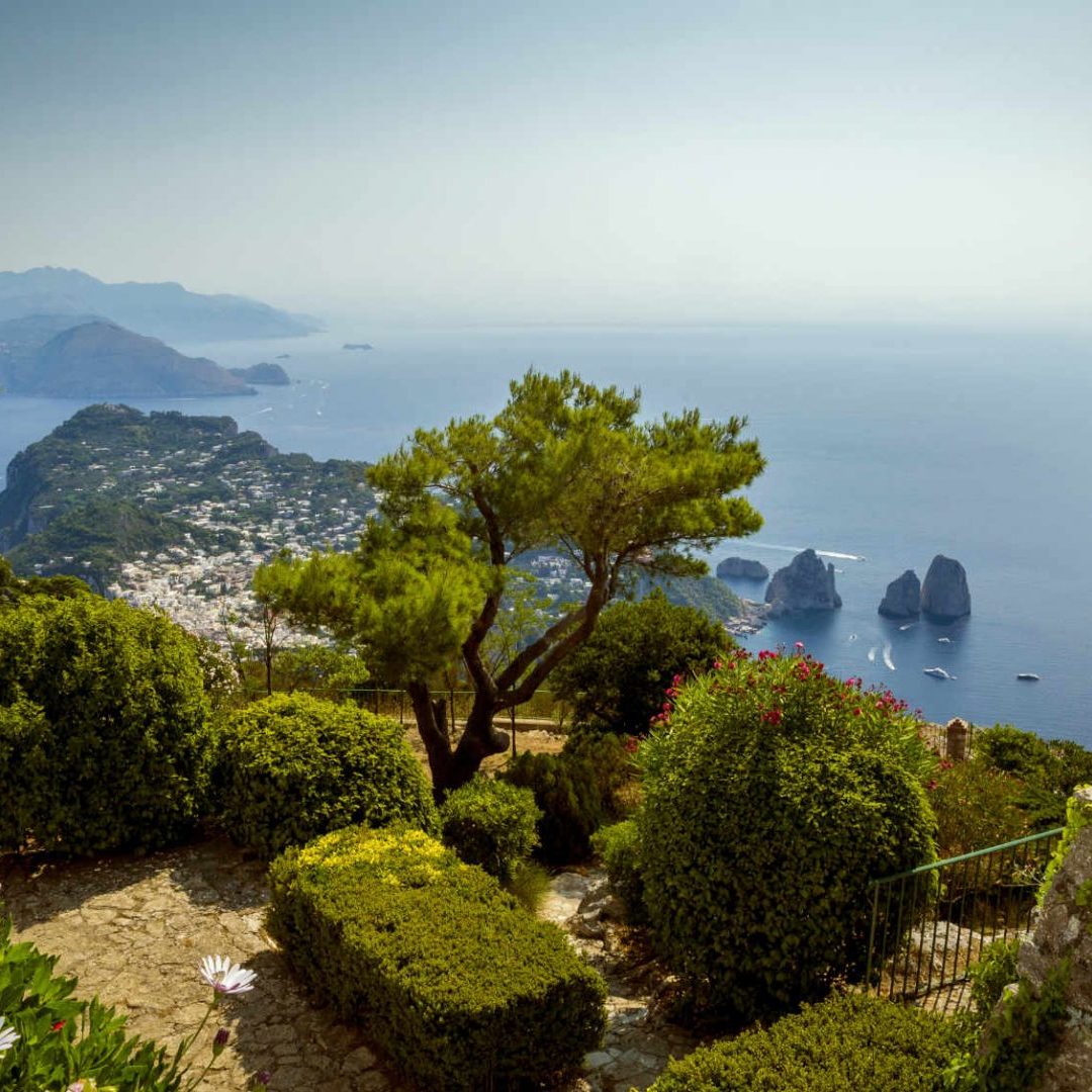jardin mer jardin mer
